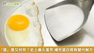 營養師指出，1顆雞蛋的蛋白質含量約為7公克。（圖／NOW健康製作；圖片來源／ingimage）