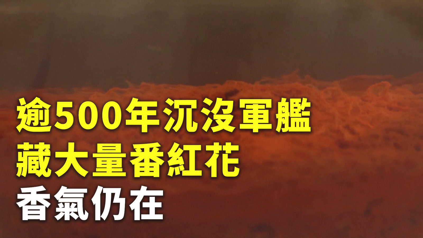 逾500年沉沒軍艦藏大量番紅花 香氣仍在