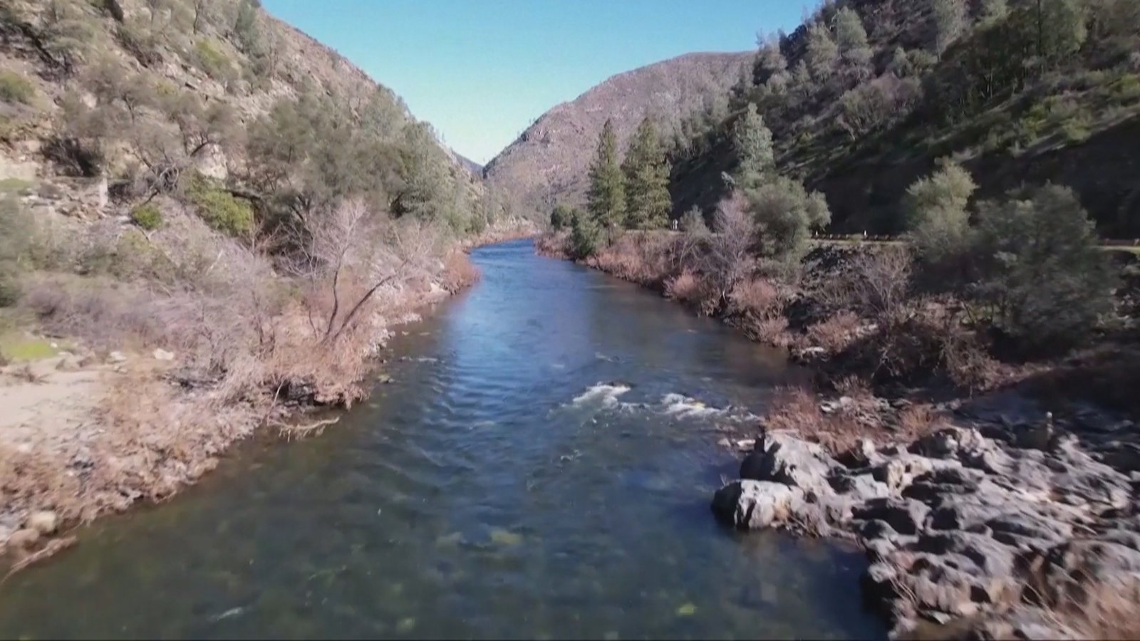 連日暴風雨 優勝美地野生動物生態恐遭破壞