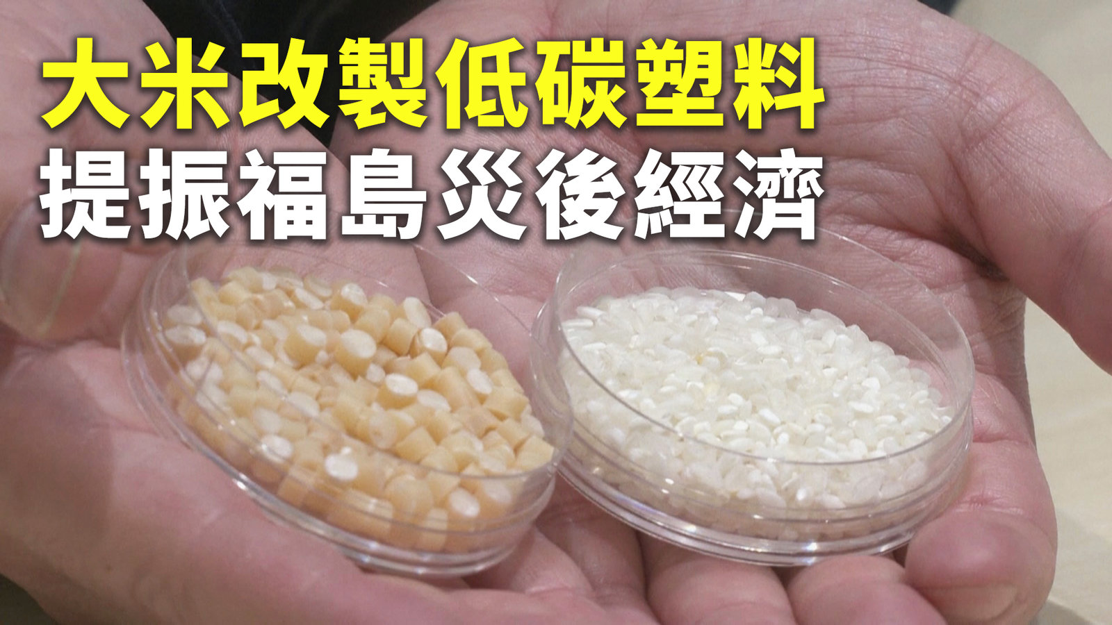 大米改製低碳塑料 提振福島災後經濟