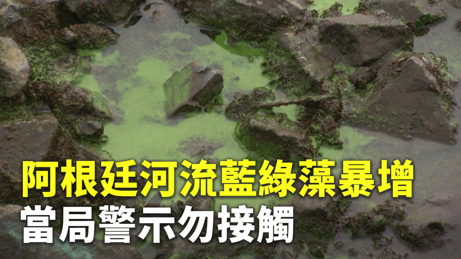 阿根廷河流藍綠藻暴增 當局警示勿接觸