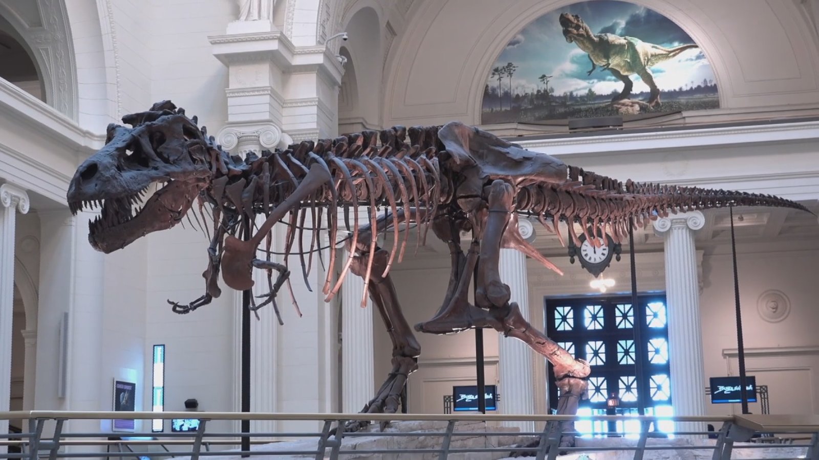 億年前恐龍化石亮相 37米完整身軀超震撼