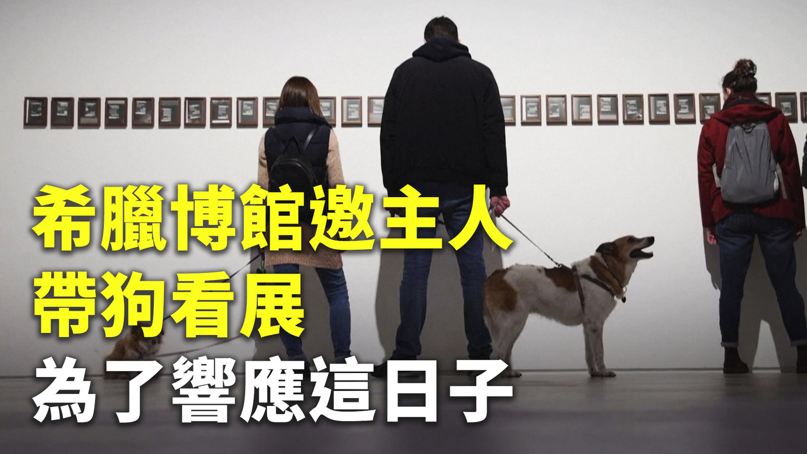 希臘博館邀主人帶狗看展 為了響應這日子