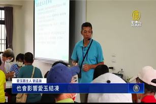 一日食農教育 體驗台灣獨有「洗愛玉」產程