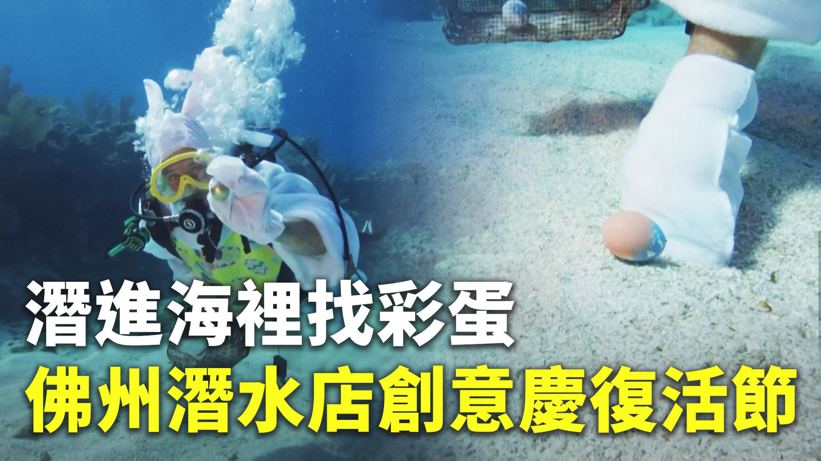 潛進海裡找彩蛋 佛州潛水店創意慶復活節