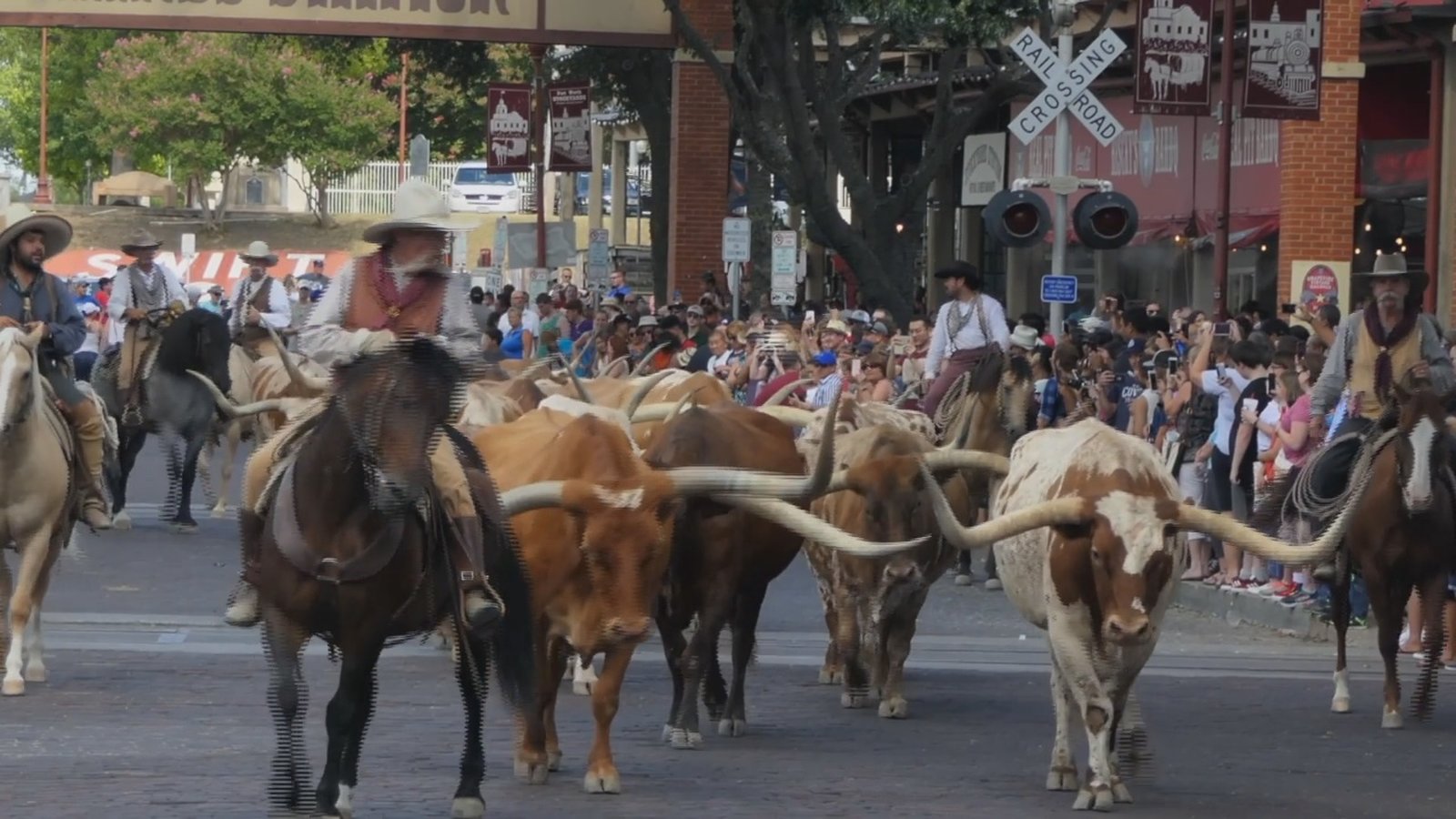南美洲的牛仔情結 魯普努尼牛仔節開鑼