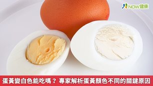 近日1名網友分享自己吃到白色的蛋黃，雖然口感與一般蛋黃相同，顏色卻非常特別，畜產試驗所特別解釋了其中的原因。（圖／NOW健康製作；圖片來源／ingimage）