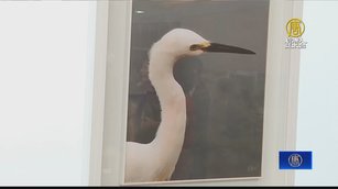 營造董座辦攝影展 義賣所得為匠人育成