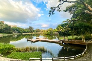 成功湖整治完成,美景更勝過往。(圖/清華大學提供)