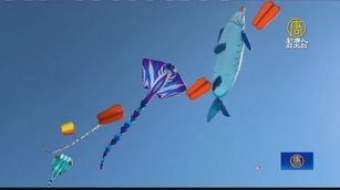 鹿港風箏節 36隻烏賊串連飛上天超壯觀