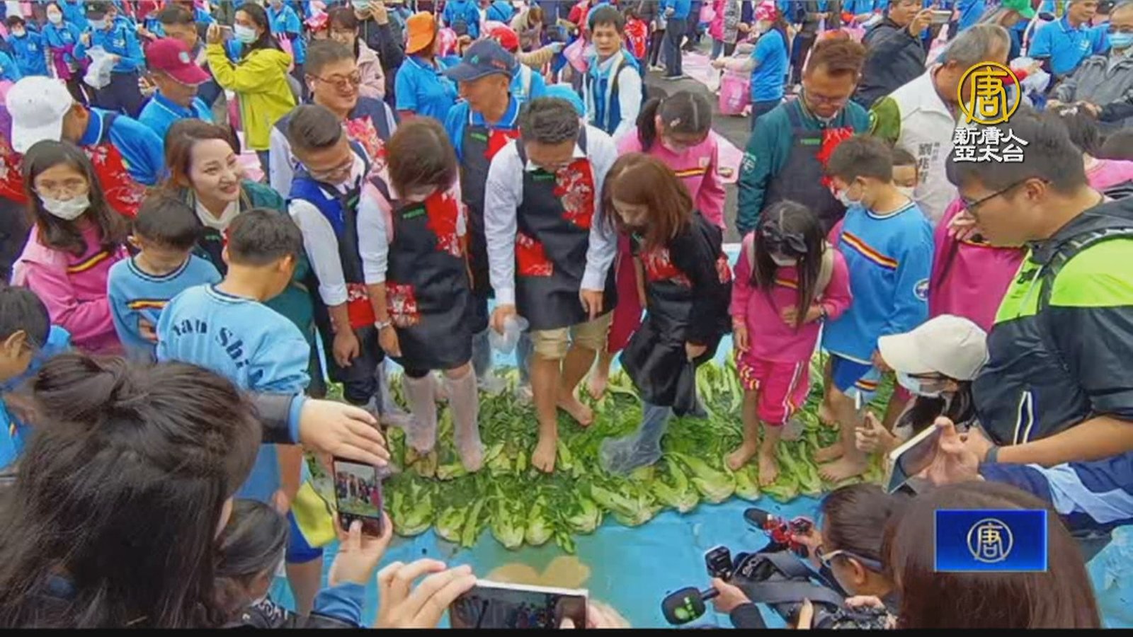 推食農教育發揚客家精神 平鎮「千人踩酸菜」超趣味