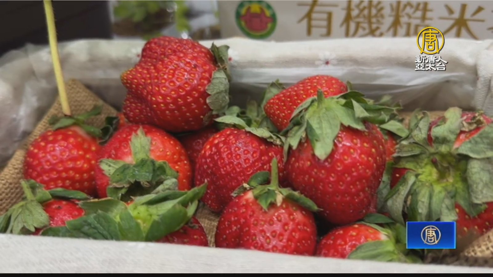 與農共舞博覽會 嘉縣18鄉鎮市亮點學校展成果