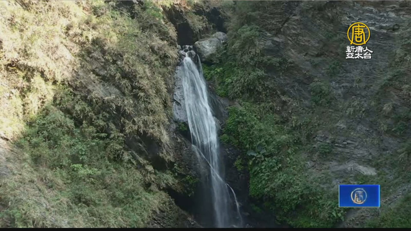 林業署與部落攜手 永續神山部落魅力