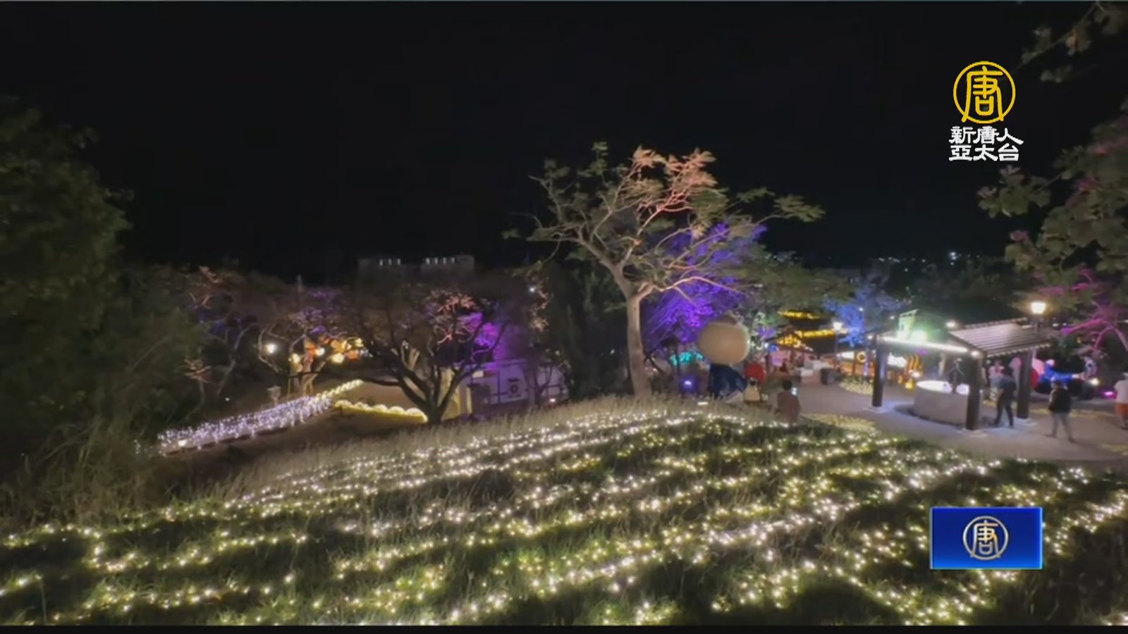 四重溪溫泉季 水豚、煮蛋池、主題燈飾帶動觀光