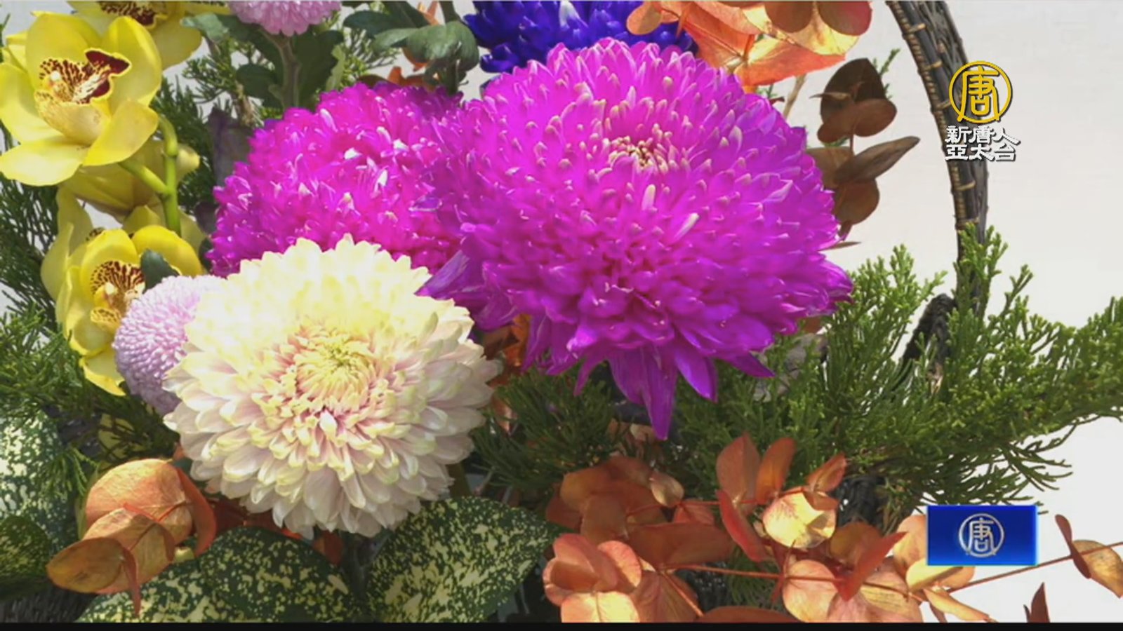 在凜冬中迎向立春 中華花藝特展「探春」
