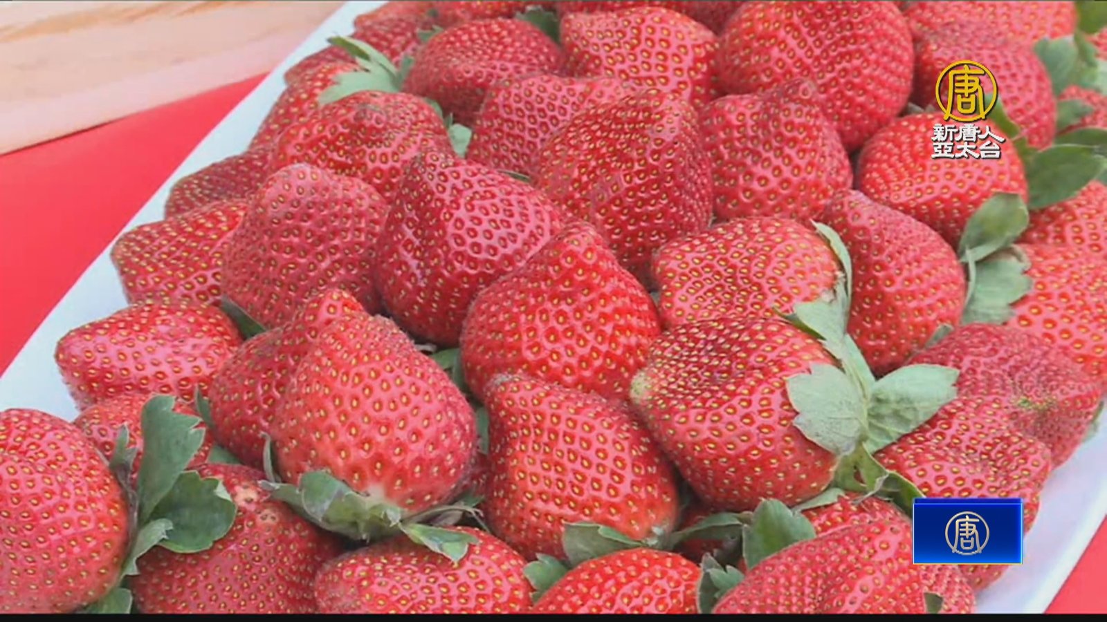 天氣轉冷草莓紅 大湖草莓季正式開跑