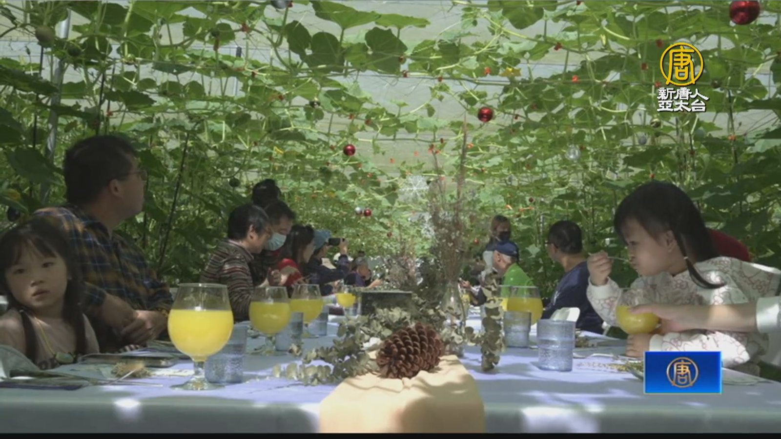 推環境永續「瓜棚饗宴」邀民眾體驗小農耕作