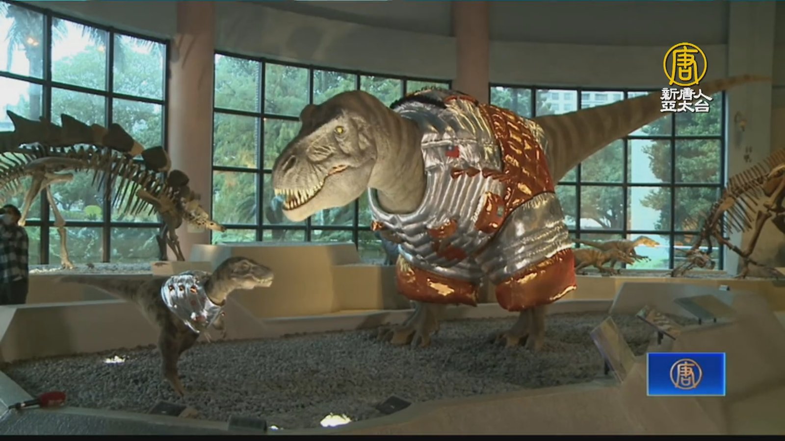 迎接龍年 台中科博館「機械暴龍」換新衣