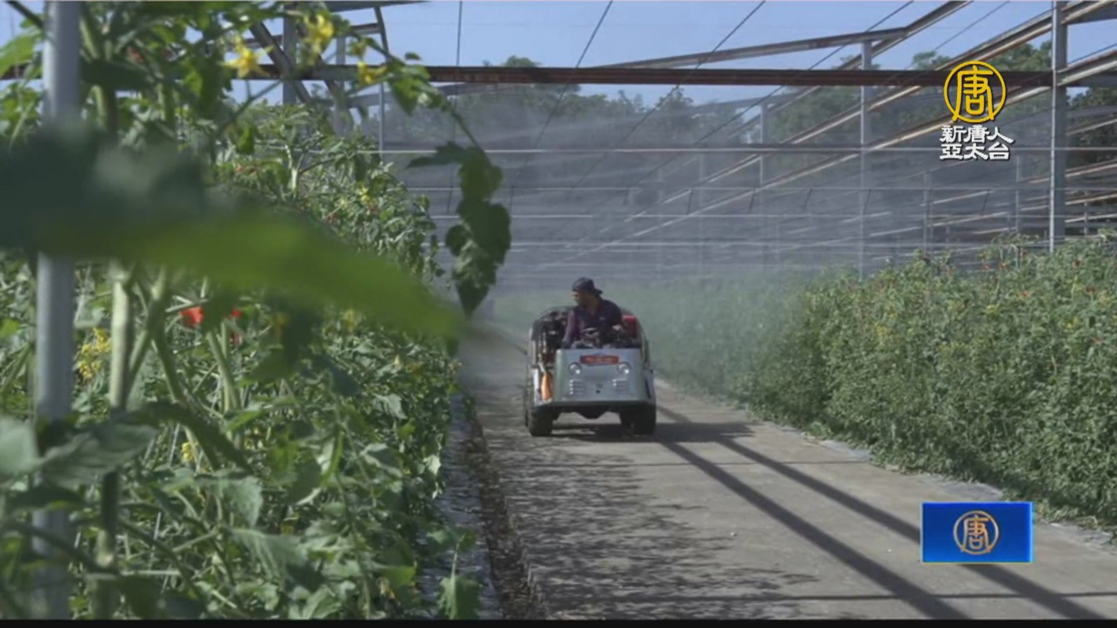 農企孵育計畫來給力 高雄青農突破生產銷售瓶頸