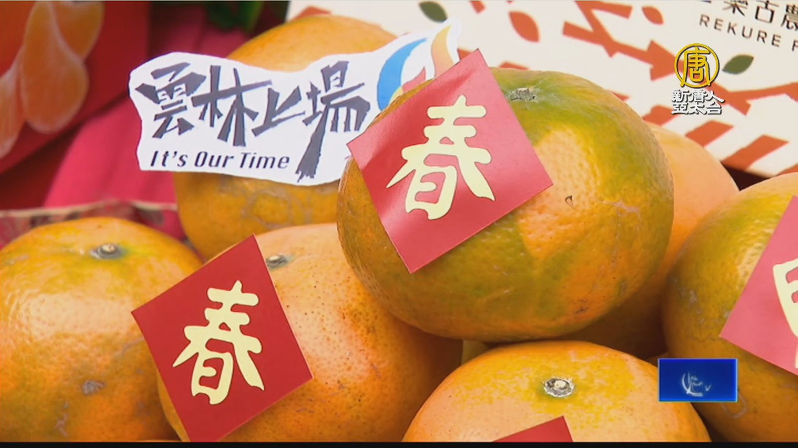 汁多甜度高!橘子農北上立法院 推廣雲林茂谷柑