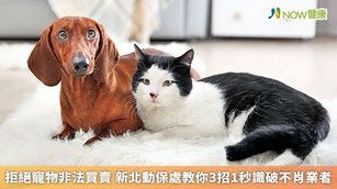 拒絕寵物非法買賣 新北動保處教你3招1秒識破不肖業者(首圖來源/Freepik)