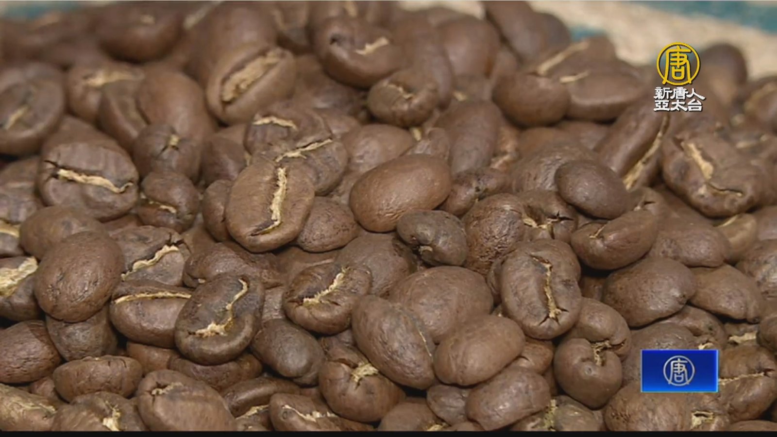 台糖進口友邦咖啡豆外交助攻 助瓜國小農.偏鄉興學