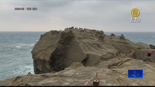 東北角象鼻岩迎第2春?網友發現酷似「水豚君」