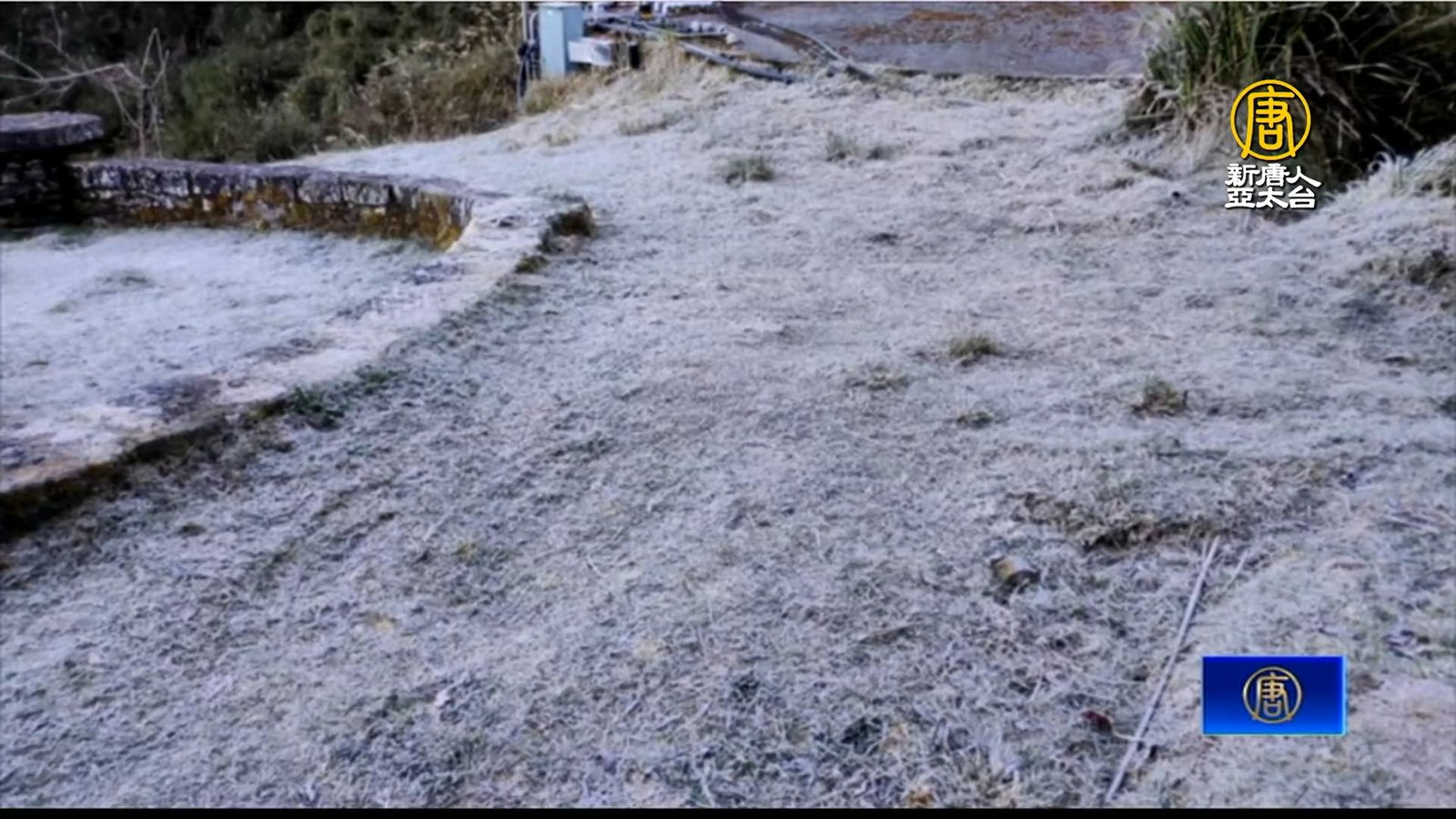 連續兩天結霜 塔塔加一片雪白 宛如置身雪國