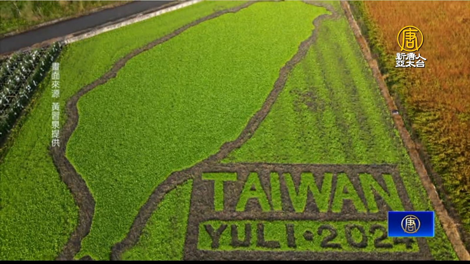 花蓮玉里新打卡點! 油菜花田裡有「台灣」