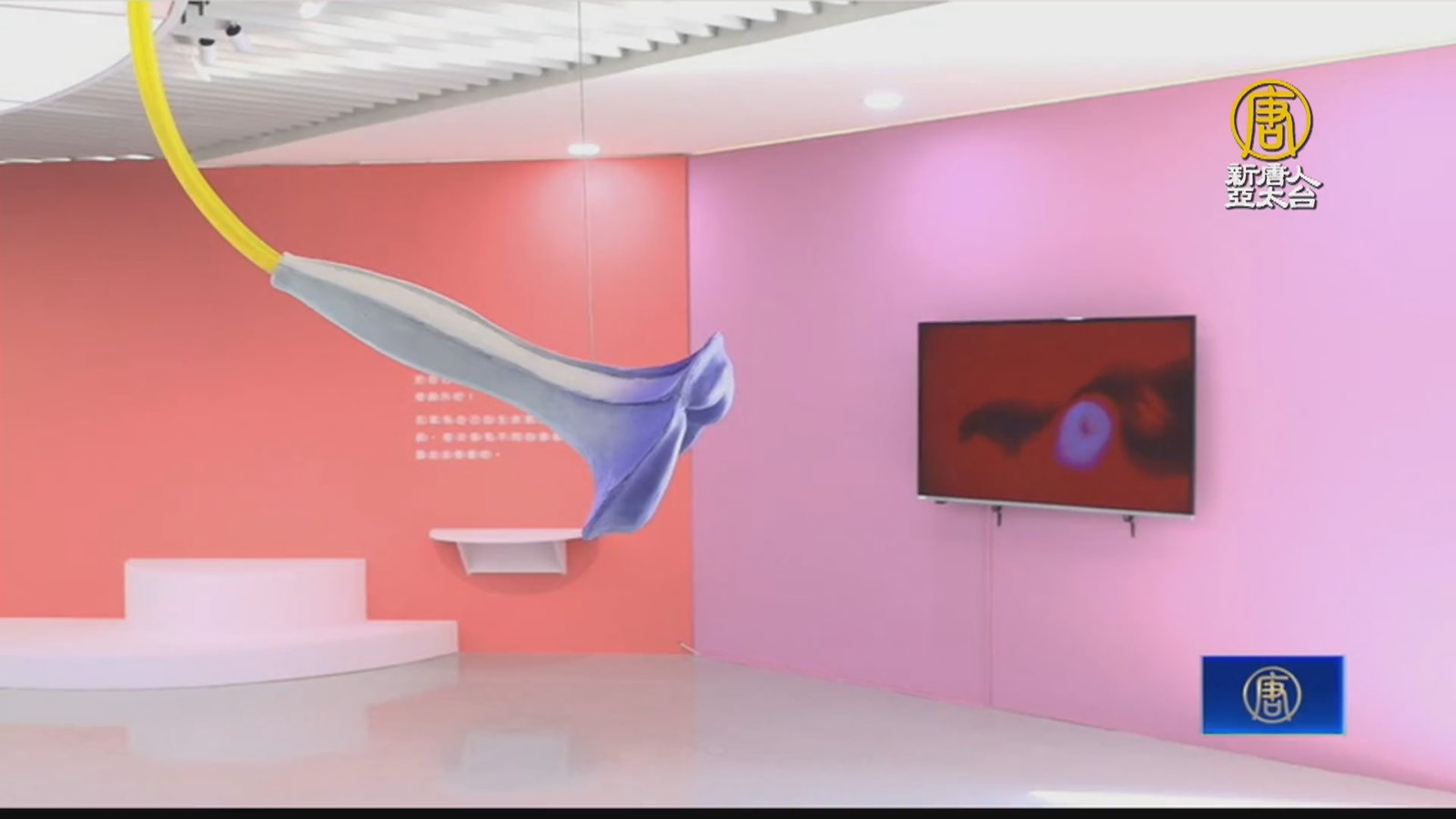 桃園兒美館開外掛?「外掛學校」展覽登場