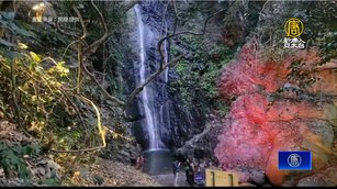 沉浸「最美沿山公路」光影之美 屏東奇幻大津點燈