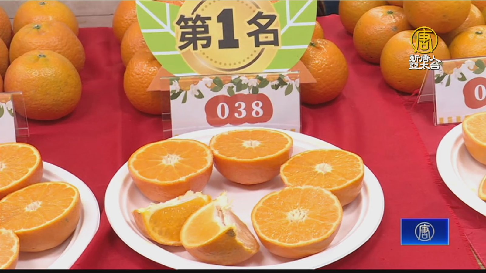 新年將至新竹桶柑盛產 送禮自用兩相宜