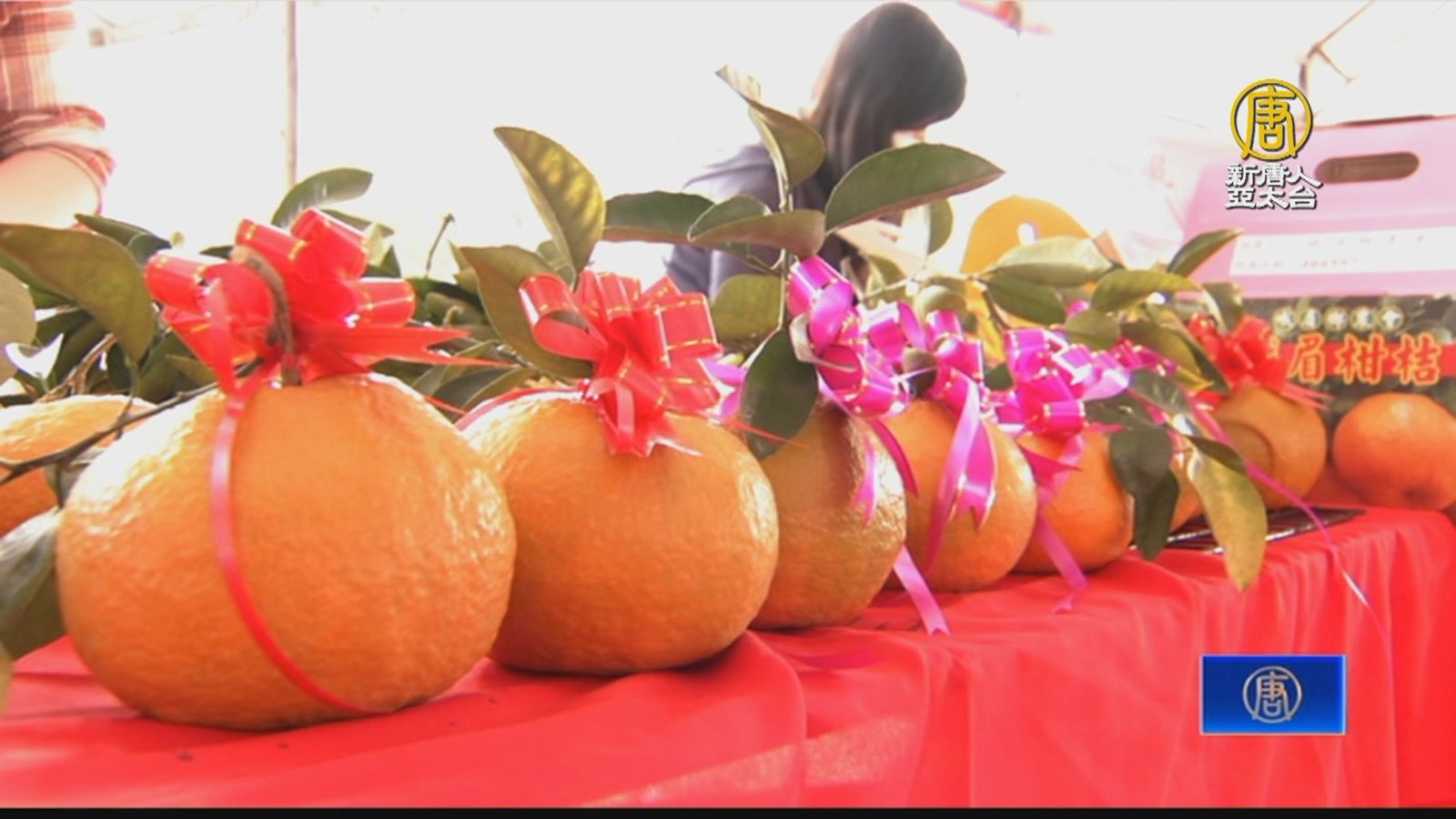 竹縣年柑上市 力推「柑橘的故鄉」趣味展售會
