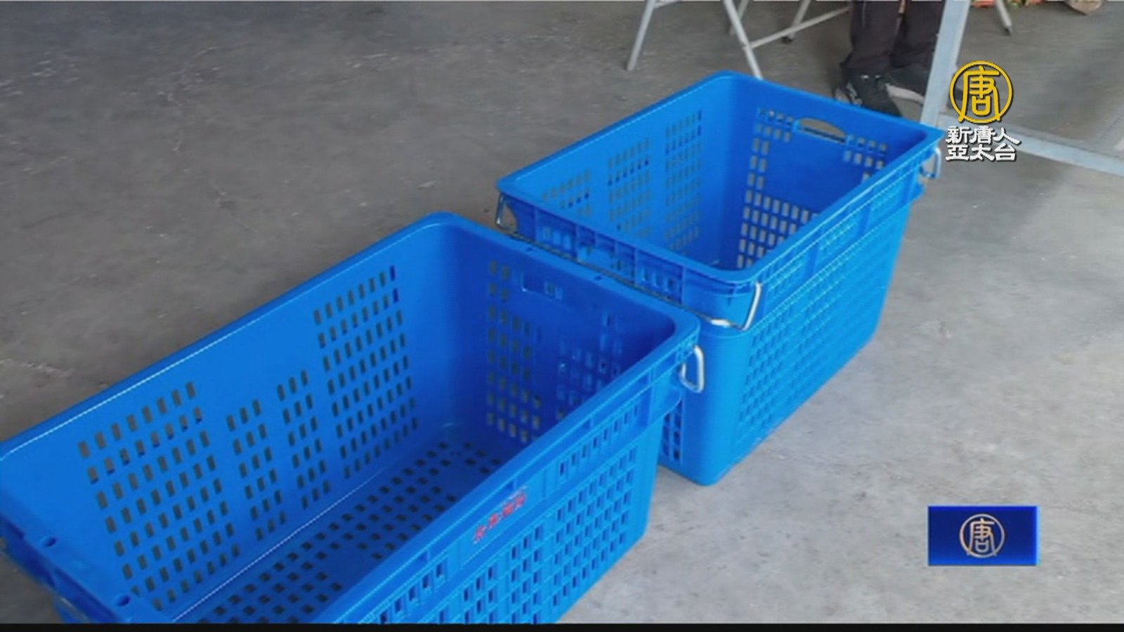 減輕農民負擔 二水農會補助蔬果採收籃購入價