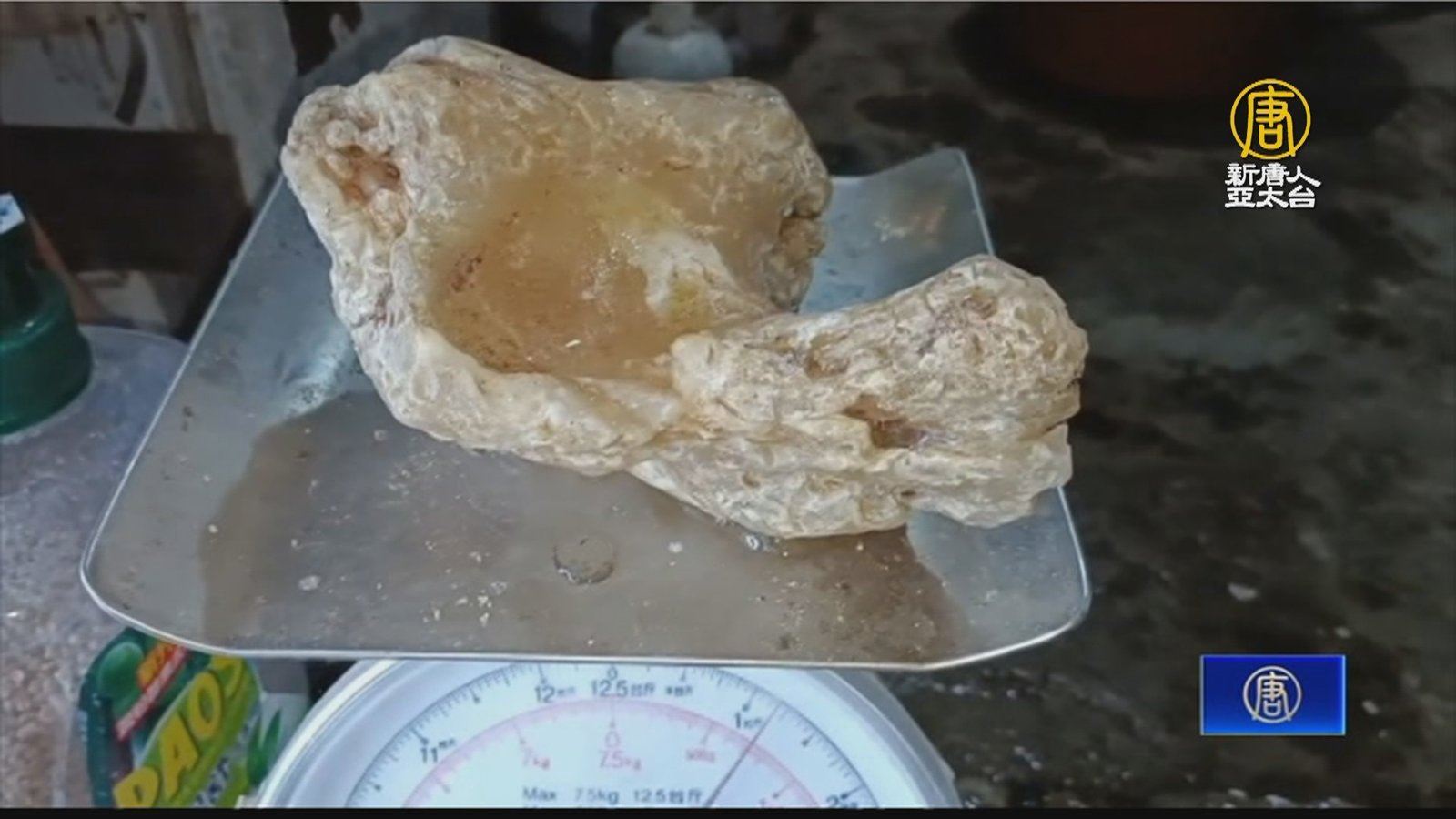 綠島居民撿到龍涎香?石塊一燒飄出淡淡奶油香