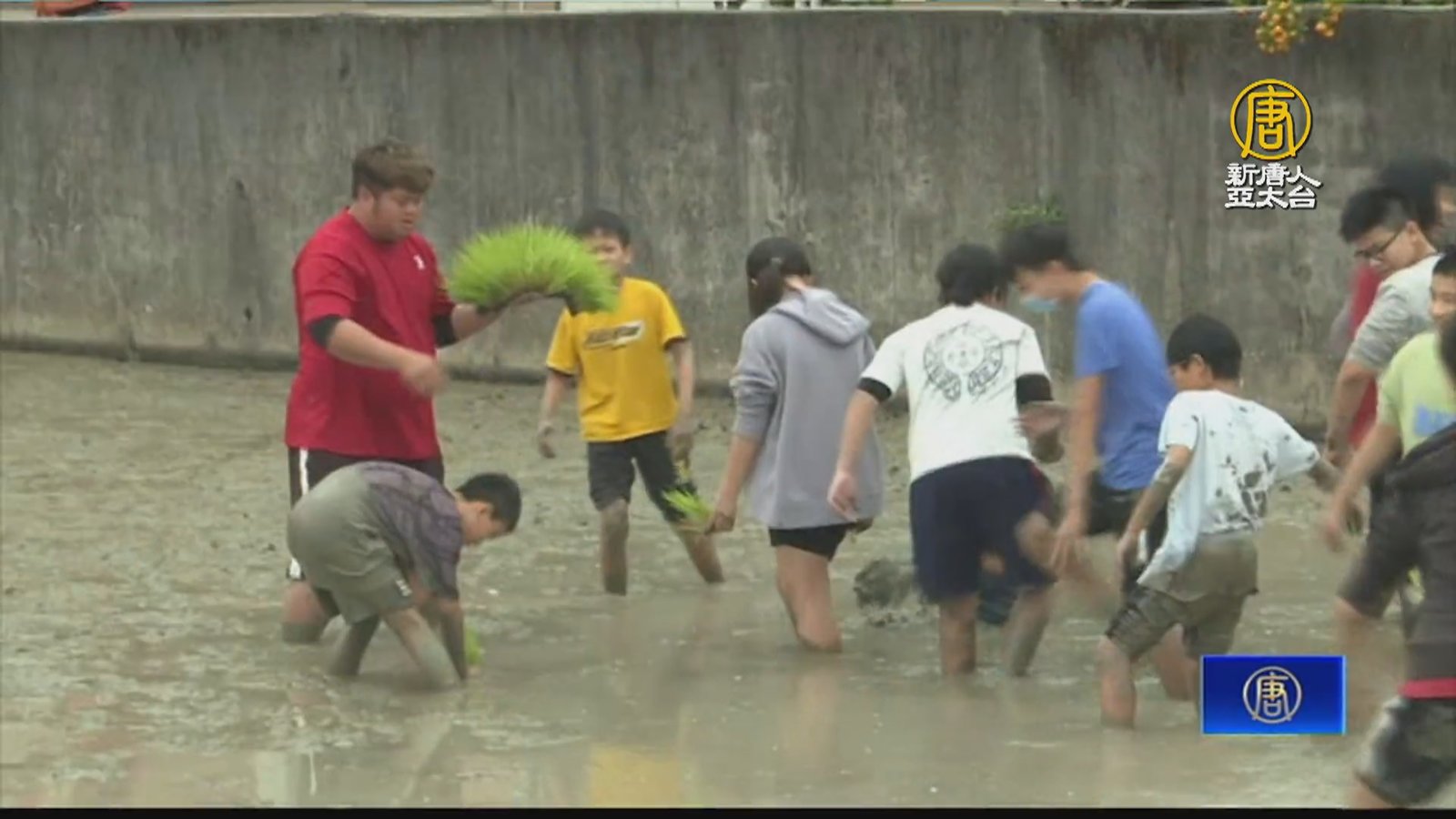 推廣惜食食農教育 四結國小全校師生以農田為教室