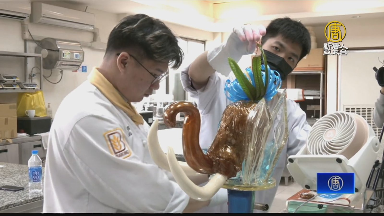 德IKA奧林匹克廚藝大賽 高餐大獲14銀2銅