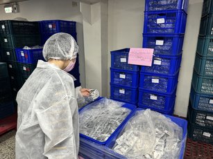 彰化縣衛生局現場稽查維力食品,於112年12月間向海順公司進貨「辣椒粉」120公斤,微量用於調味包及休閒食品之調味,因稽查現場進貨之品項、效期批號、出貨日期與數量等均與高雄市政府衛生局提供之問題產品及流向資訊申報資料不一致,目前查證中,已令業者暫停使用及出貨,並全面進行抽驗。(彰化縣衛生局提供)