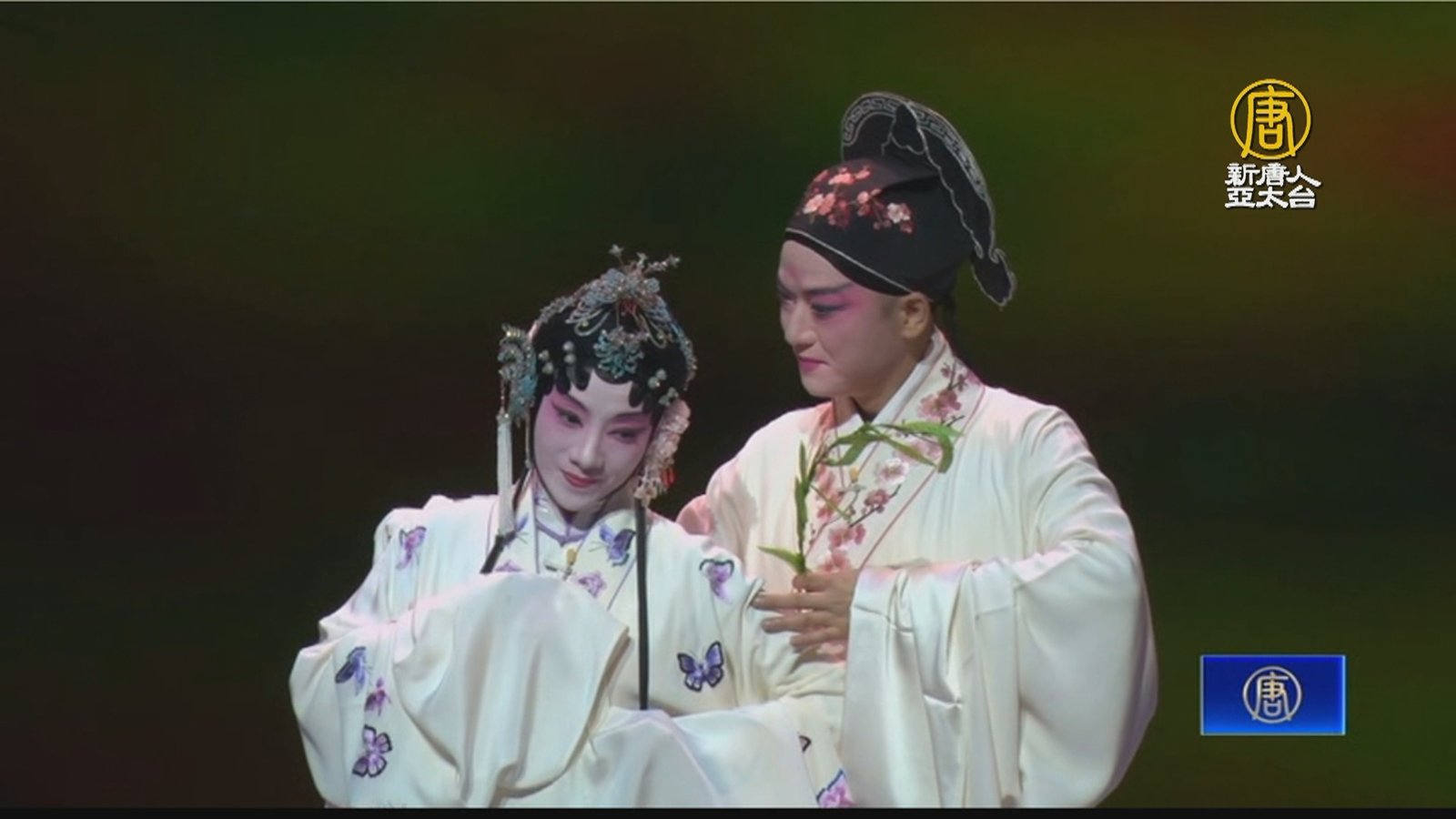 青春版《牡丹亭》崑劇再現 首場衛武營粉墨登台