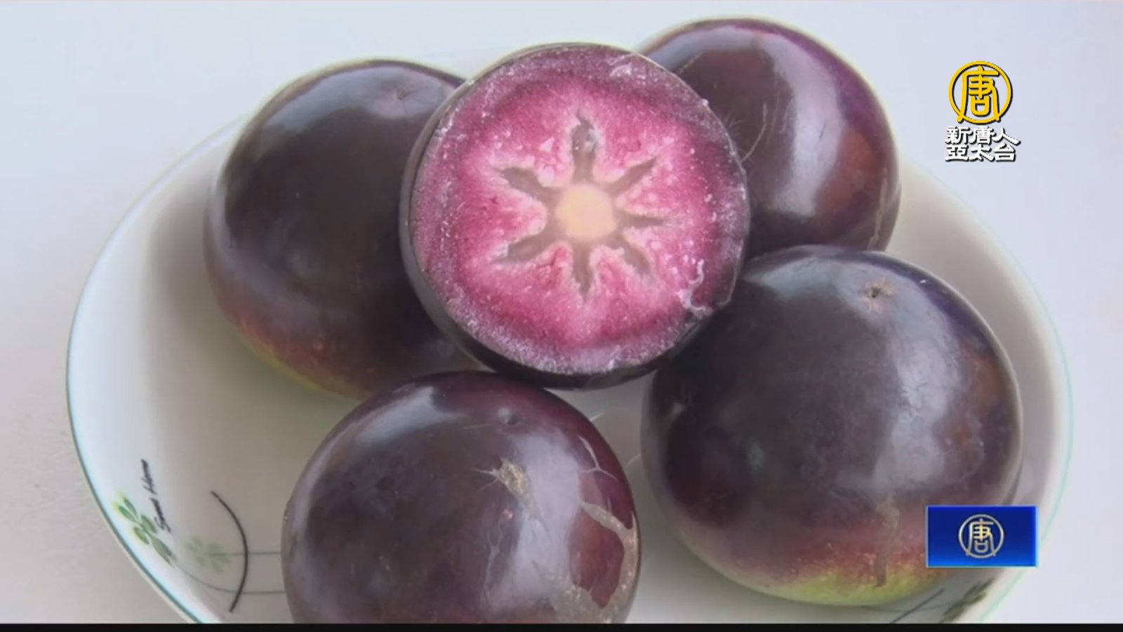 誤打誤撞成農夫 退休軍官種金星果迎事業第二春