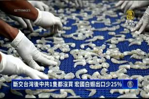 斷交台灣後中共1隻都沒買 宏國白蝦出口少25％
