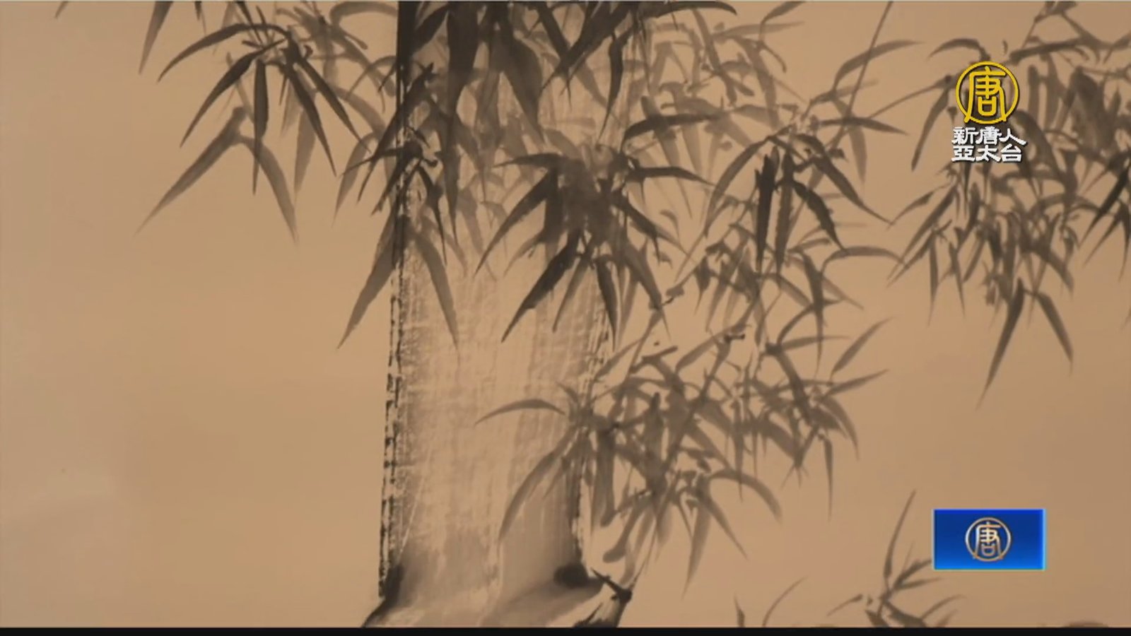 張上緯創作巡迴個展 分享竹藝美好到偏鄉