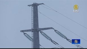 挪威北部建電纜掀反對聲浪 憂擾亂馴鹿放牧