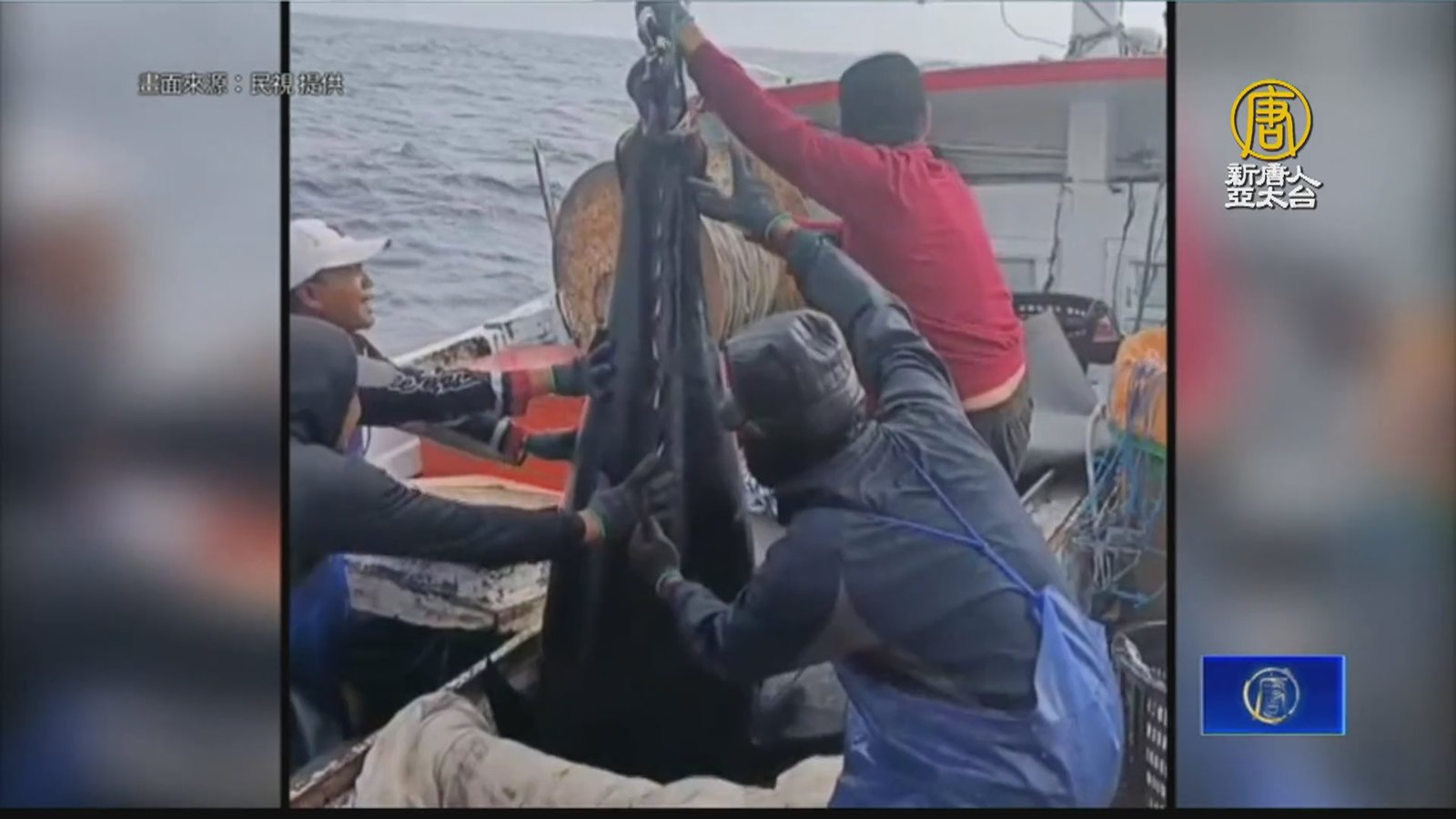 全台第一鮪!蘇澳籍漁船捕獲「269公斤黑鮪魚」