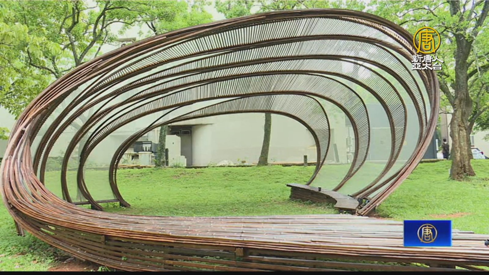 「世界竹論壇」首登台 聚焦循環經濟與竹文化