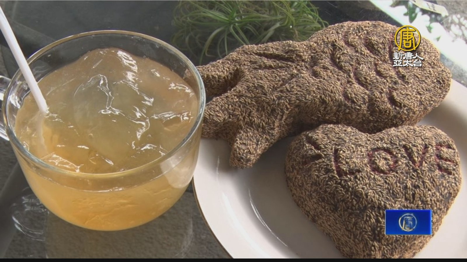 山林種咖啡、愛玉 那瑪夏農友開創林下經濟