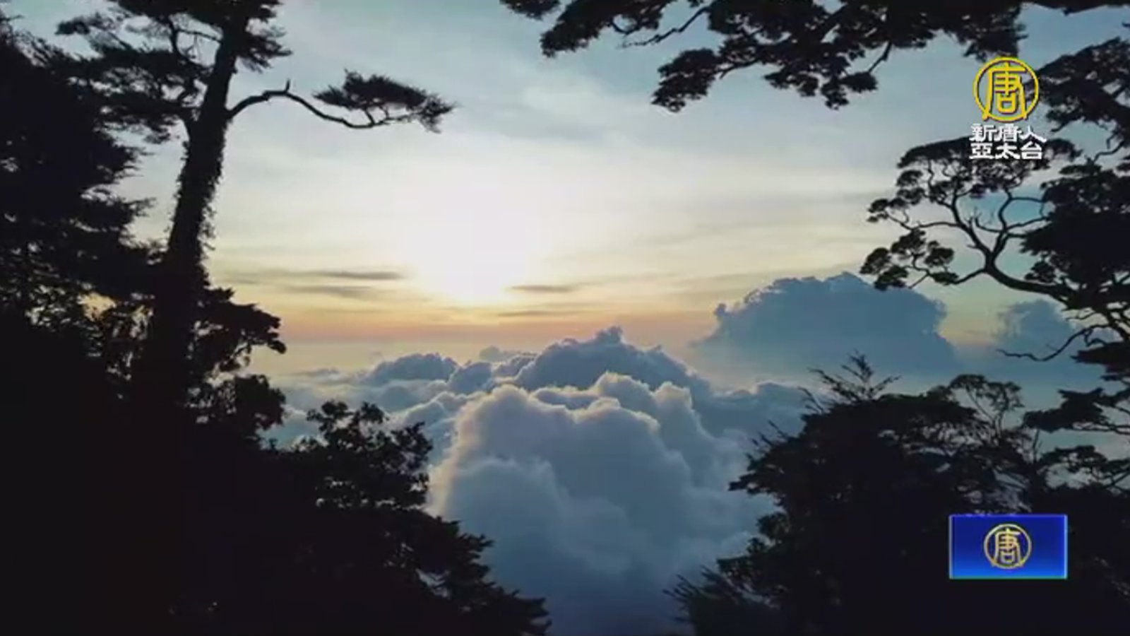 「跨國學生團隊」登大武山!記錄台灣山岳之美