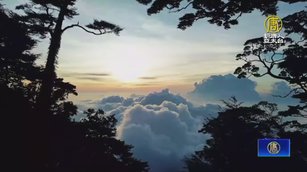 「跨國學生團隊」登大武山!記錄台灣山岳之美