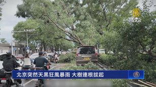 北京突然天黑狂風暴雨 大樹連根拔起