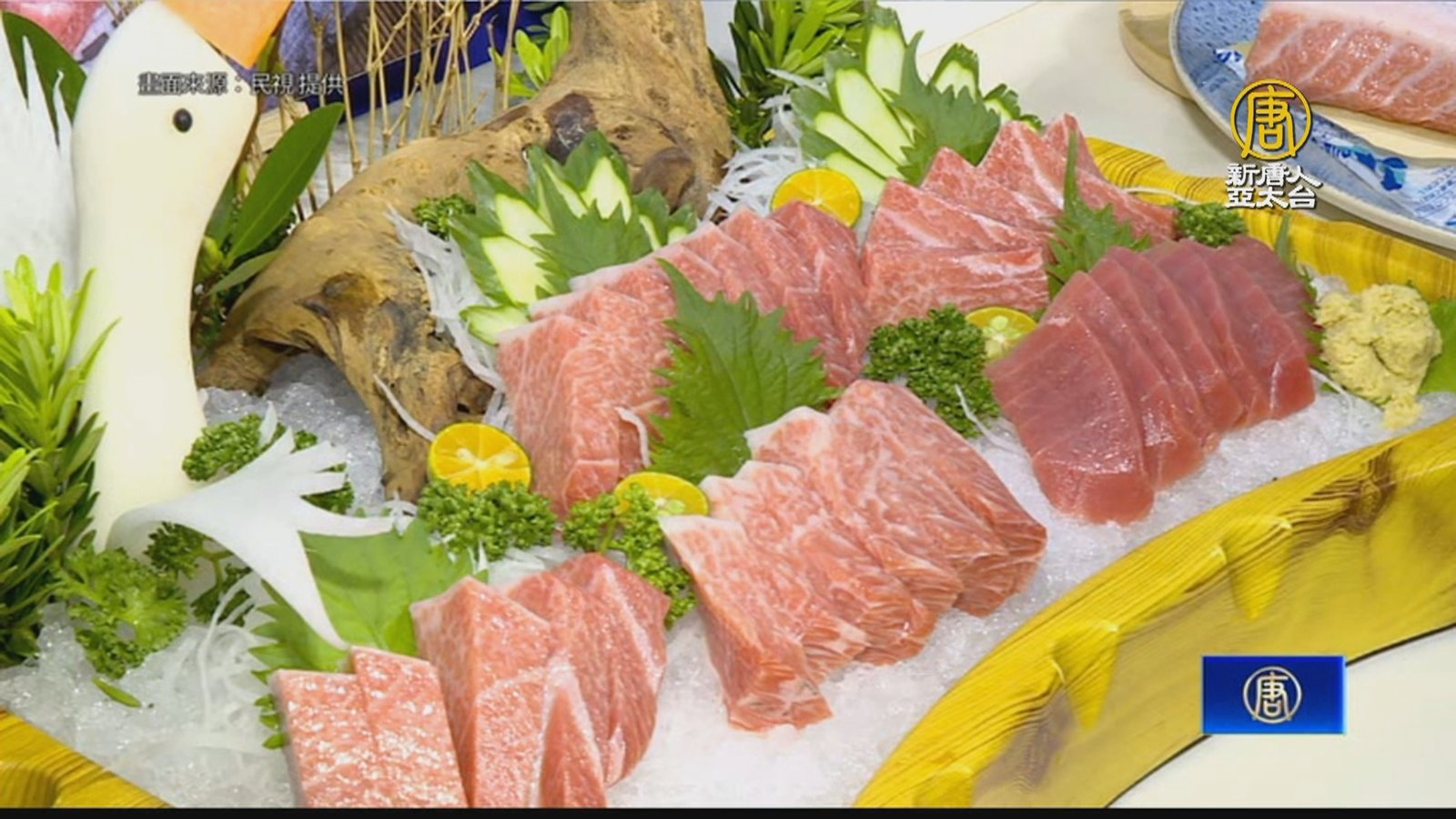 黑鮪魚大豐收!漁業署邀民眾到產地「嚐鮮」